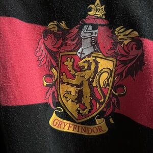 Reversible Gryffindor hoidie